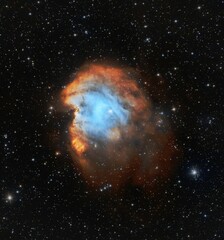 Mesmerizing Monkey Head Nebula in the star filled night sky