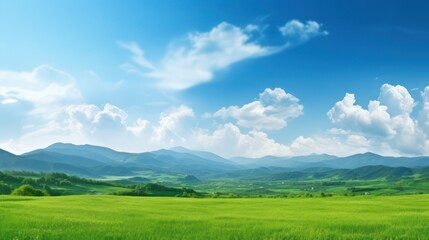 Fototapeta premium Panoramic green field landscape view. Blue mountains background and bright blue sky. 