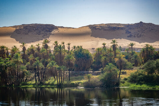 orillas de rio Nilo con en desierto a los lados Egipto