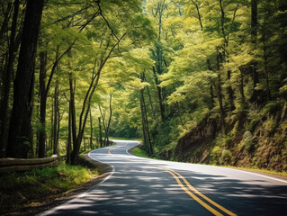 Obraz premium Winding Mountain Road Through Green Forest in Summer