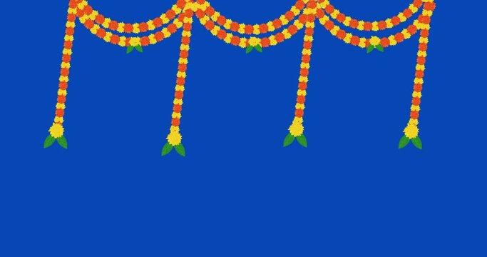 4k Traditional indian marigold floral garland animated video,wedding and festival decoration,border flower decoration with blue screen background