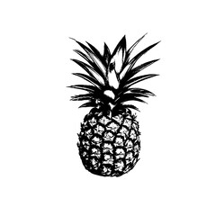 Ripe Pineapple Hand Drawn Sketch Closeup Vector Element