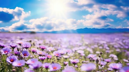 Fototapeta premium Beautiful spring summer natural with a field of purple clover flowers and chamomile against blue sky.