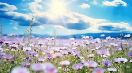 Obraz premium Beautiful spring summer natural with a field of purple clover flowers and chamomile against blue sky.