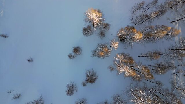 4K Drone Aerial over Snowy Trees in Zauchensee Austria, Birdseye Decent and Spin