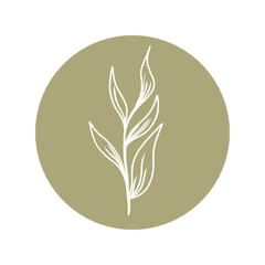 Simple Plant Abstract Shape, story highlight cover set. Hand drawn floral botanical icons for social media.