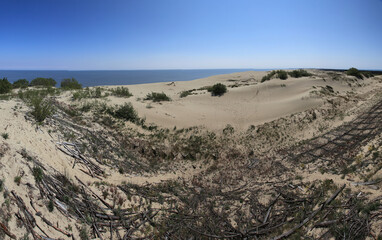 Sand Dune in Curonian Spit, Russia