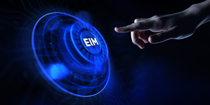 EIM Enterprise Information Management System On Virtual Screen.