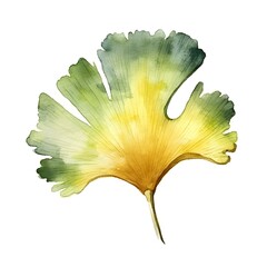 Fototapeta na wymiar a yellow and green leaf