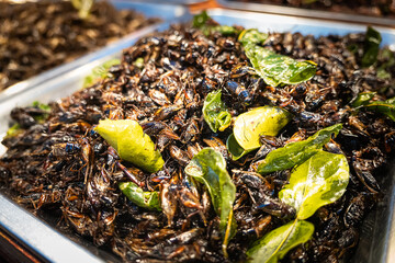 Fried insects locust, , , pupa street food on a vendor stall, Chinatown in Thailand, high protein...