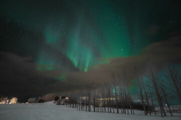 Fototapeta premium aurora borealis in the night sky above Reykjavik, Iceland, with stars twinkling in the background