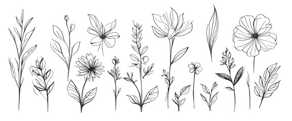 Fototapeta na wymiar minimal botanical summer graphic sketch line art drawing, trendy tiny design, leaf elements vector illustration