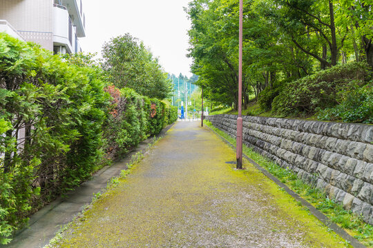 多摩の片田舎の散歩道