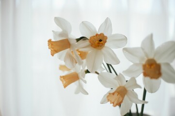 White vase filled with a bouquet of white  narcissus flowers