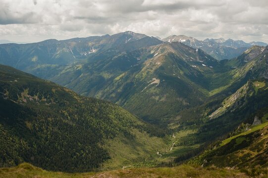 Lush landscape of majestic mountains surrounded by vibrant pine trees © Julia Koi/Wirestock Creators