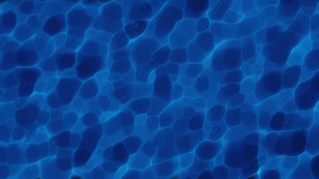 blue water surface, pool water simulation