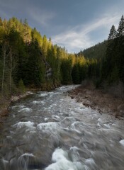 the river is running alongside some trees, and clouds overhead