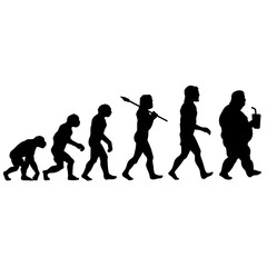 human evoluion