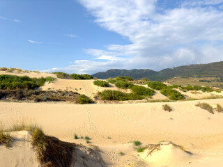 Fototapeta na wymiar Blick auf die hohen Sanddünen von Valdevaqueros, die von der Abendsonne beleuchtet werden, Tarifa, Costa de la Luz, Andalusien, Provinz Cádiz, Spanien, Reisen, Tourismus