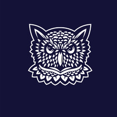 Vector of owl on blue background