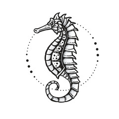 Vector of seahorse on white background