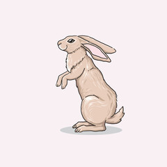 Vector of a brown rabbit