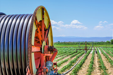closeup of modern irrigation system watering cotton field