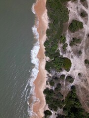 Aerial view of a beach covered in greenery on a sunny day