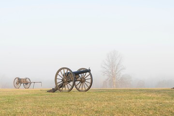Fototapeta na wymiar Bird on a Cannon on a Foggy Morning
