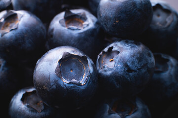 ripe sweet blueberries. Fresh blueberry background with copy space for your text. Vegan and vegetarian concept. Macro texture of blueberries. Texture of blueberries close up