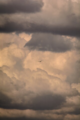 large white and gray clouds, illuminated by the orange setting sun, against which a barely noticeable bird flies