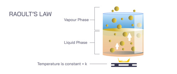 Raoult's law states that the vapor pressure of a solvent above a solution is equal to the vapor pressure of the pure solvent at the same temperature vector.