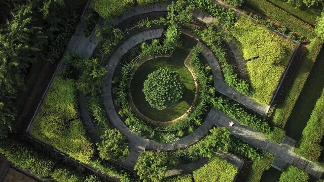 Aerial top view video of a decorative green lawn labyrinth