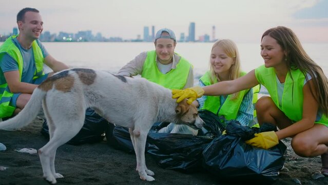 a positive team of volunteers rescues a dog ,helping stray animals