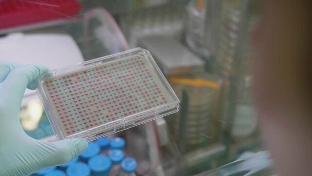 Scientist holding a Microtiter plate biotech assay in the laboratory