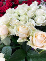 Blossoming beige, white and red roses with green leaves, close-up, side view. Bouquets of roses. Flower shop. Present. Sign of attention.