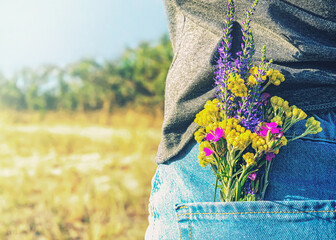 A bouquet of wildflowers in the pocket of jeans. A young woman on a walk. Concept of summer vacation.