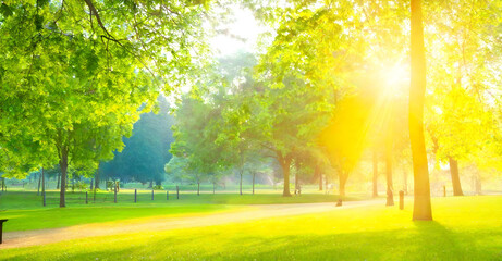 Naklejka na ściany i meble Beautiful warm summer natural landscape of park with sun