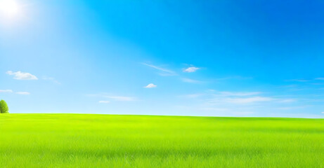 Fototapeta na wymiar Beautiful natural landscape of a green field with grass against a blue sky with sun. Spring summer blurred background
