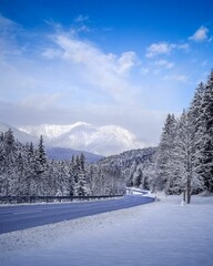 Fototapeta na wymiar Beautiful snowy winter landscape in the Alps