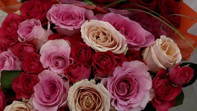 Large bouquets of red and pink roses. Rose flowers for the anniversary.