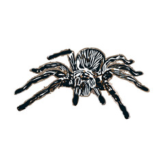 Color sketch of spider with transparent background