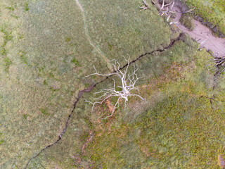 Porlock marsh from the air somerset England uk 