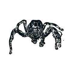 Color sketch of spider with transparent background