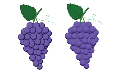 grapes fruit icon 3d render illusration