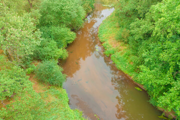 Gęsty, liściasty, zielony las. Pomiędzy drzewami płynie rzeka tocząc brązową wodę. Brzegi porośnięte są trawą. Rzeka jest nieuregulowana. - 628977755