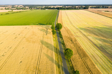 Rozległa równina pokryta łąkami i polami uprawnymi. Łąki pokryte są zieloną trawą, pola porośnięte są dojrzałym, żółtym zbożem. Przez równinę przebiega wąska, lokalna, asfaltowa droga. - 628978506