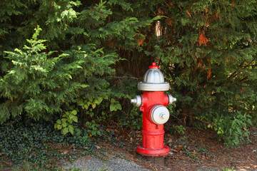 Fototapeta na wymiar fire hydrant on a city street embodies preparedness, safety, and urban infrastructure, serving as a symbol of protection and readiness for potential emergencies