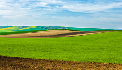 Obraz premium Spring colors of landscape and fields
