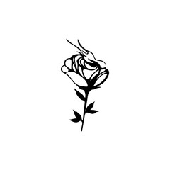 vector illustration of a rose with smoke